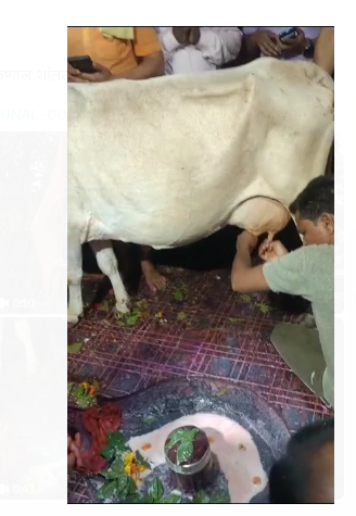 basukinathdham mai aaj jamkar huyi barish  