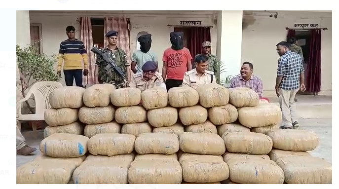 ganja lada wahan palatne se khulasa