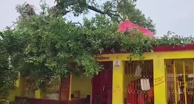 begusarai sthit jai mangla mandir me vikalkaay ped gira mandir kshatigrast 