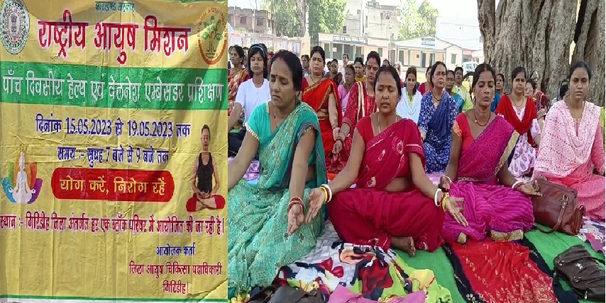 Organization of five-day health and wellness ambassador training camp for upcoming International Yoga Day program