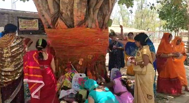 vat savitri puja ko lekar machi dhoom 