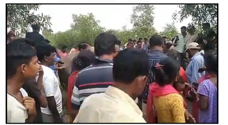 jamshedpur mai current lagne se mada hathi ki maut   