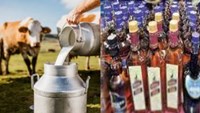 Excise department exposed liquor trade with milk