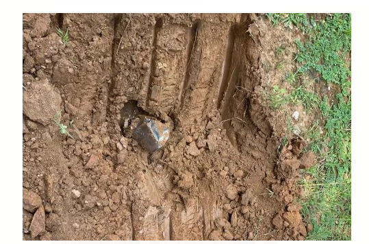 naxaliyo ke mansube vifal 