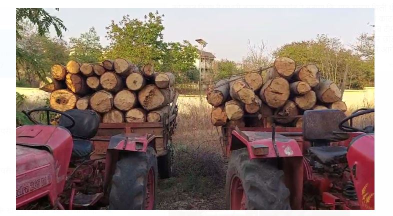 lakadi taskaron mai macha harkampa