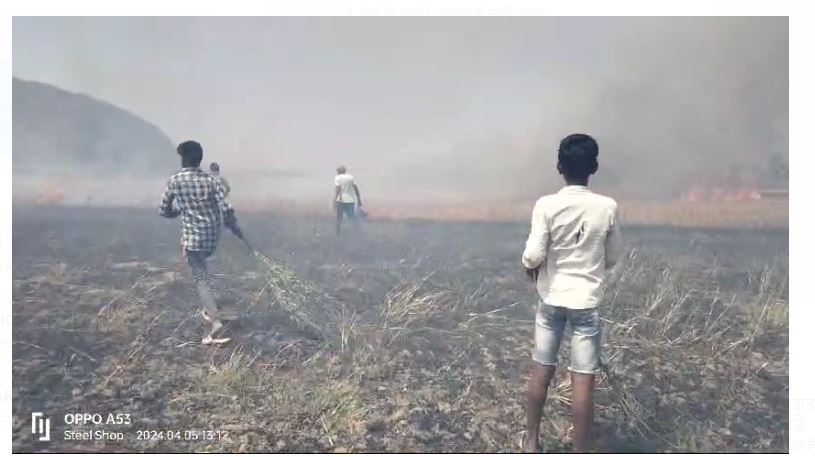 palamu mai gahun ki khet mai lagi bhishan aag 