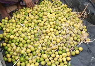 In Jamshedpur, lemon is being sold in bulk for Rs 200 per kg.
