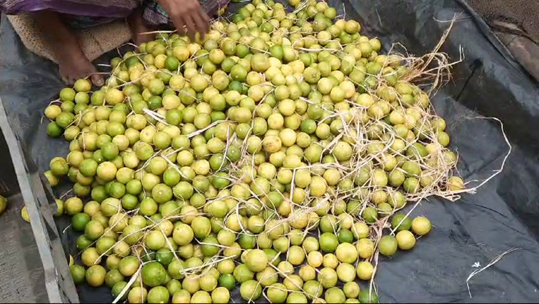  In Jamshedpur, lemon is being sold in bulk for Rs 200 per kg.