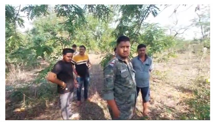 shav milne se sansani