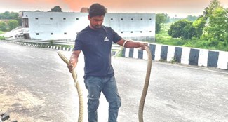 This person from Muzaffarpur is friends with snakes