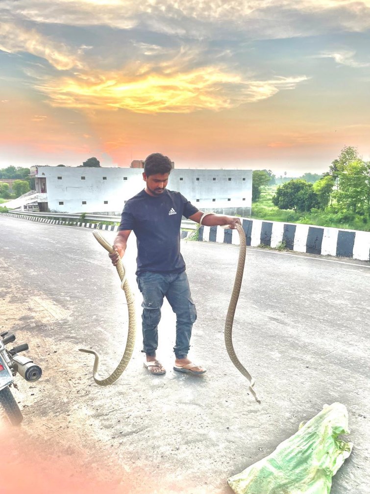 This person from Muzaffarpur is friends with snakes