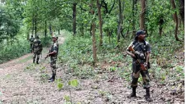 Encounter on Chhattisgarh-Telangana border, Greyhound Force killed 7 Naxalites