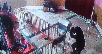 Mata's Nathiya stolen from Kali temple, incident captured in CCTV camera