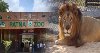  If you are planning to visit Patna Zoo... Be alert sir, there has been a change in timing