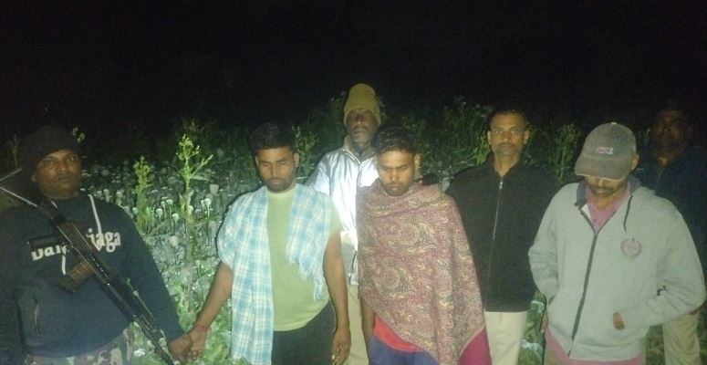  Drug cultivation in Nawada... Police exposed illegal business, police also caught 3 businessmen