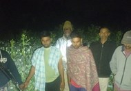  Drug cultivation in Nawada... Police exposed illegal business, police also caught 3 businessmen