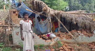 Herd of elephants destroyed many houses