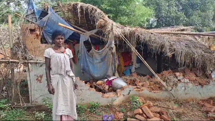 Herd of elephants destroyed many houses