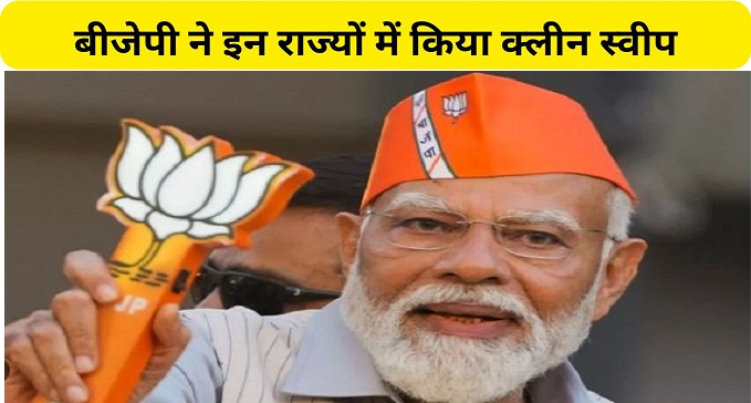 BJP did clean sweep in these states