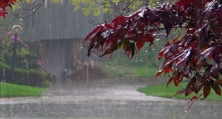  Monsoon will hit Jharkhand soon