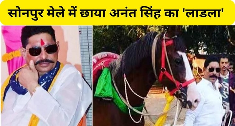 Anant Singh horse beloved in Sonpur fair