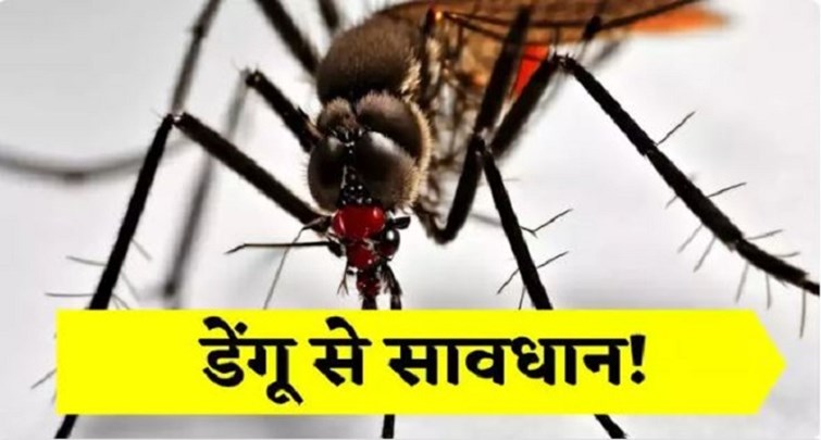  Dengue sting breaks record in Patna