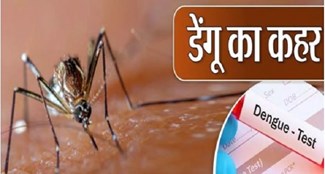 167 new dengue patients found again in Bihar