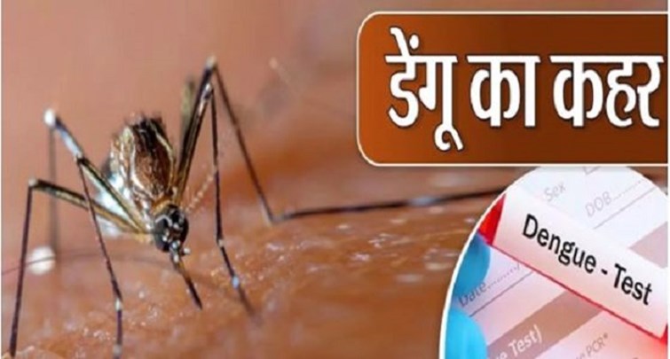 167 new dengue patients found again in Bihar