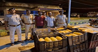 Smuggling of marijuana under the cover of tomatoes