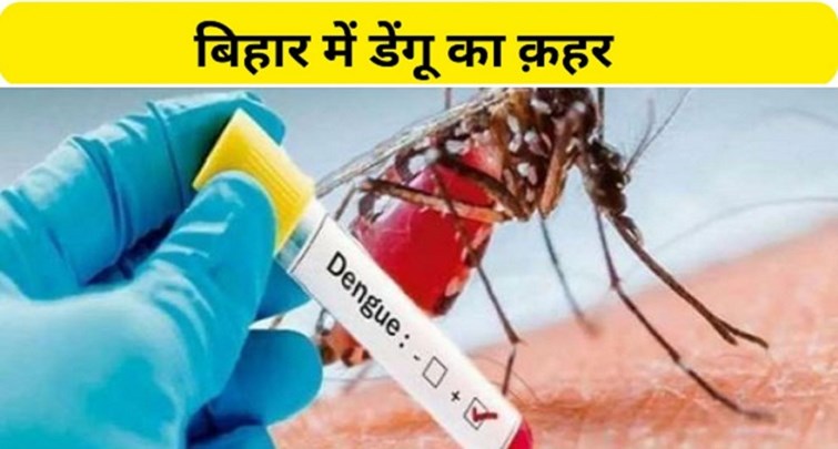 Dengue havoc continues in Bihar