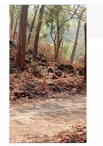 chaibasa ke jaraikela mai ied blasta