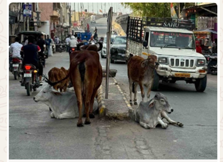 bihar news 
