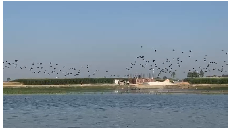 katihar ka gogabil jheel ramsar site mai shamil 