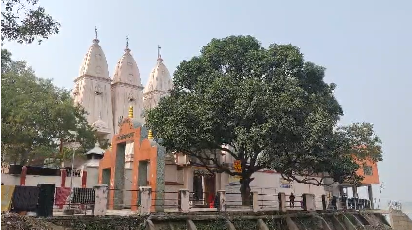Thieves cut down and stole two sandalwood trees, each 40 feet long, raising questions about security arrangements.