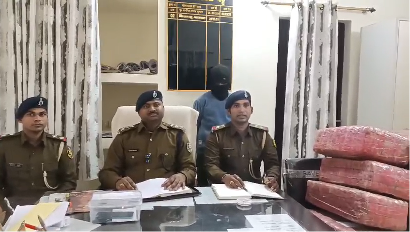 Police seized a pickup truck along with 82 kg of marijuana from a secret basement.