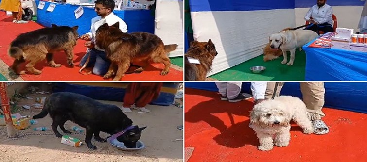 Dog show organized by animal husbandry department