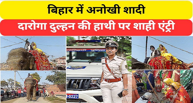  Royal entry on the elephant of Daroga bride in Siwan