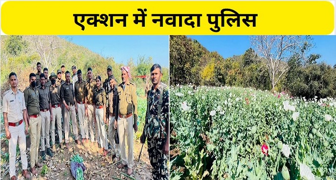  Nawada Police  Opium crop planted in Naxal affected area destroyed