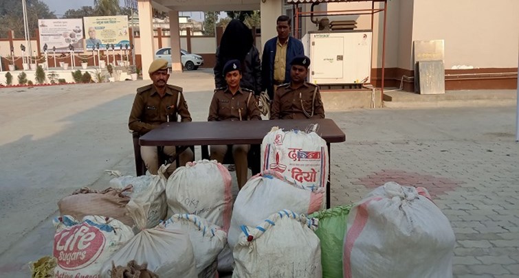  Ganja worth Rs 64 lakh seized in Supaul