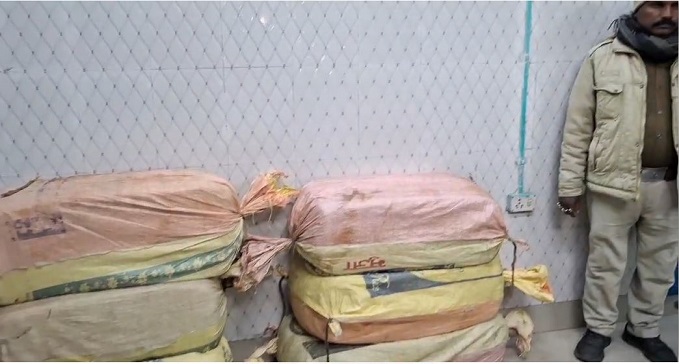  Ganja worth Rs 20 lakh recovered in Supaul