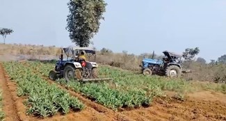 Awareness campaign against opium cultivation in Seraikela, villagers took commitment