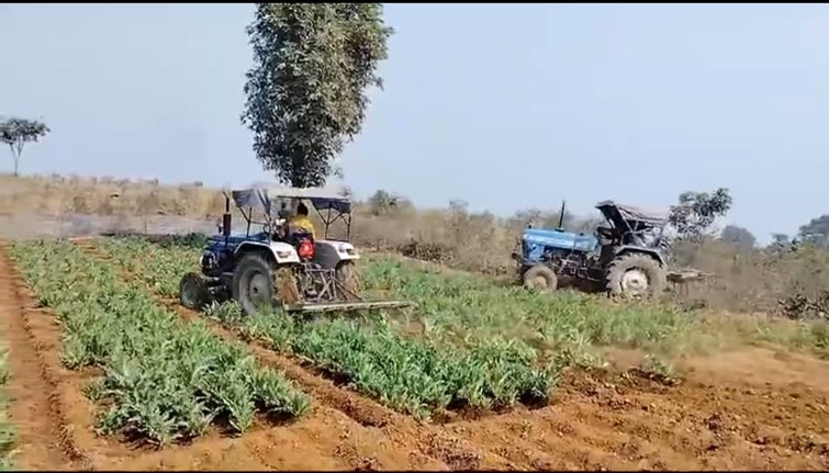 Awareness campaign against opium cultivation in Seraikela, villagers took commitment