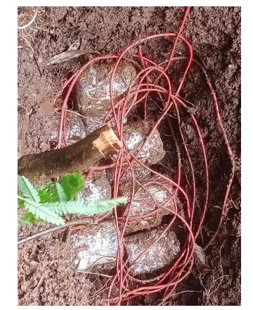 police ko mili badi safalta 