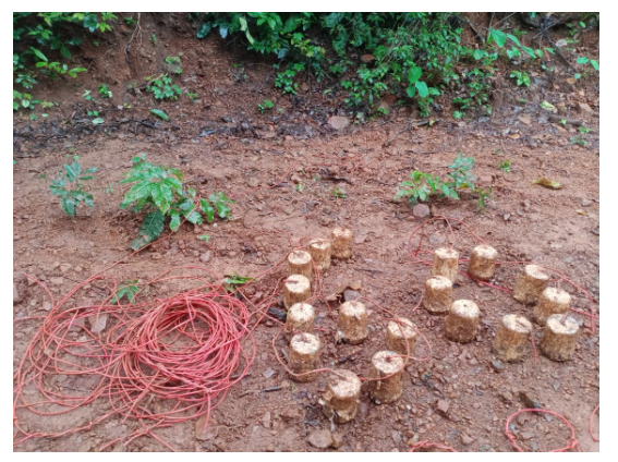 naxaliyon ki badi sajis naakaam