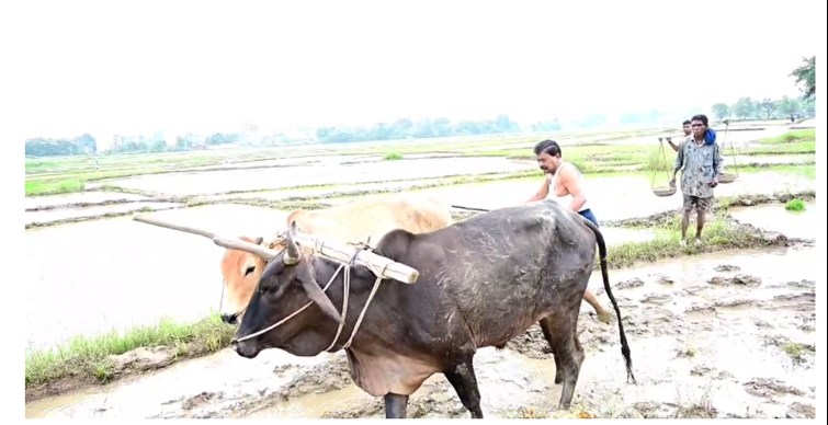 jharkhand news