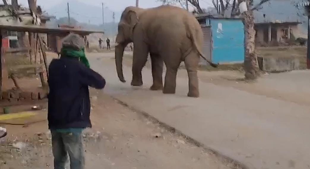 Villagers chased away with torches