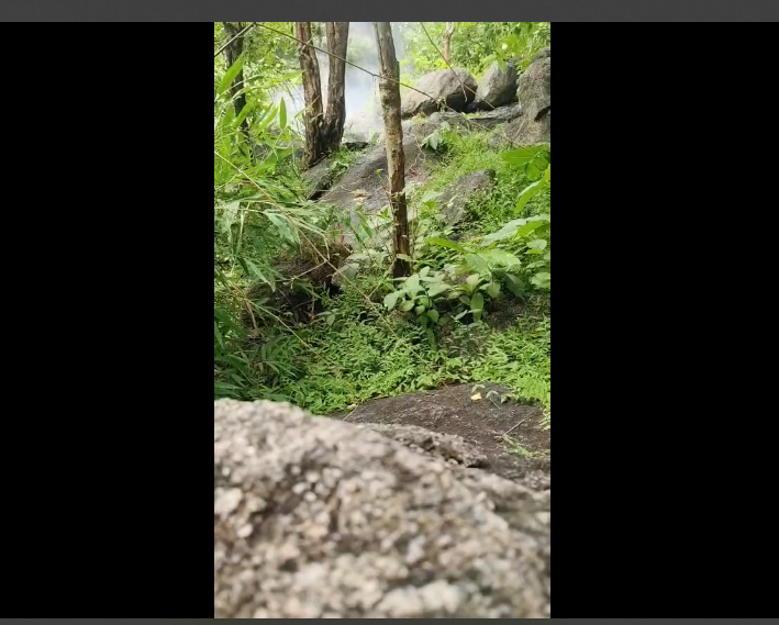 naxaliyo ke mansube nakam