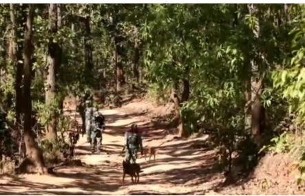 palamu mai muthbher per tpc ne kiya dava 