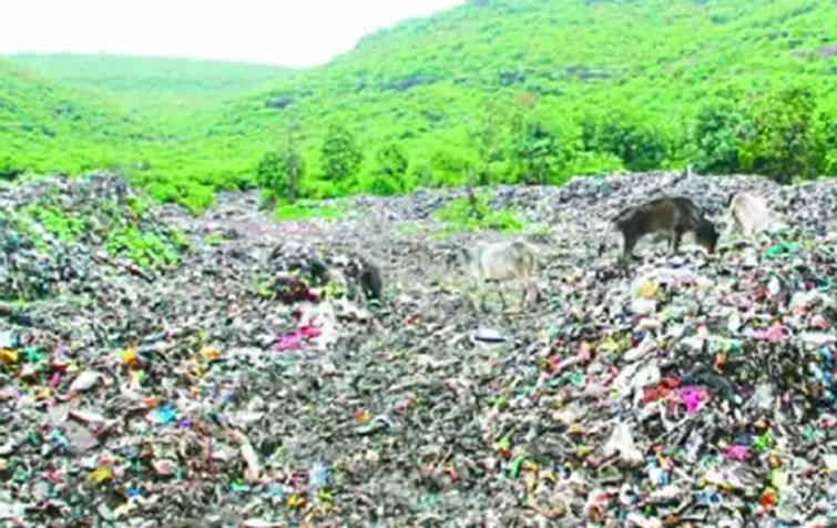 A garbage dumping site has been built in the village, and the stench is making villagers sick.