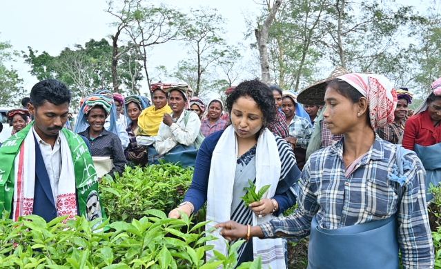 assam vidhansabha chunaw